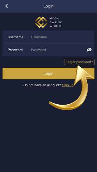 step 3 forgot password