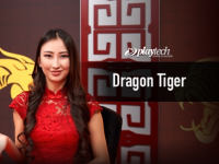 MCW live casino Dragon Tiger