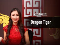 dragon tiger