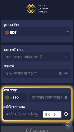 ধাপ ৩ অতিরিক্ত তথ্য পূরণ করুন